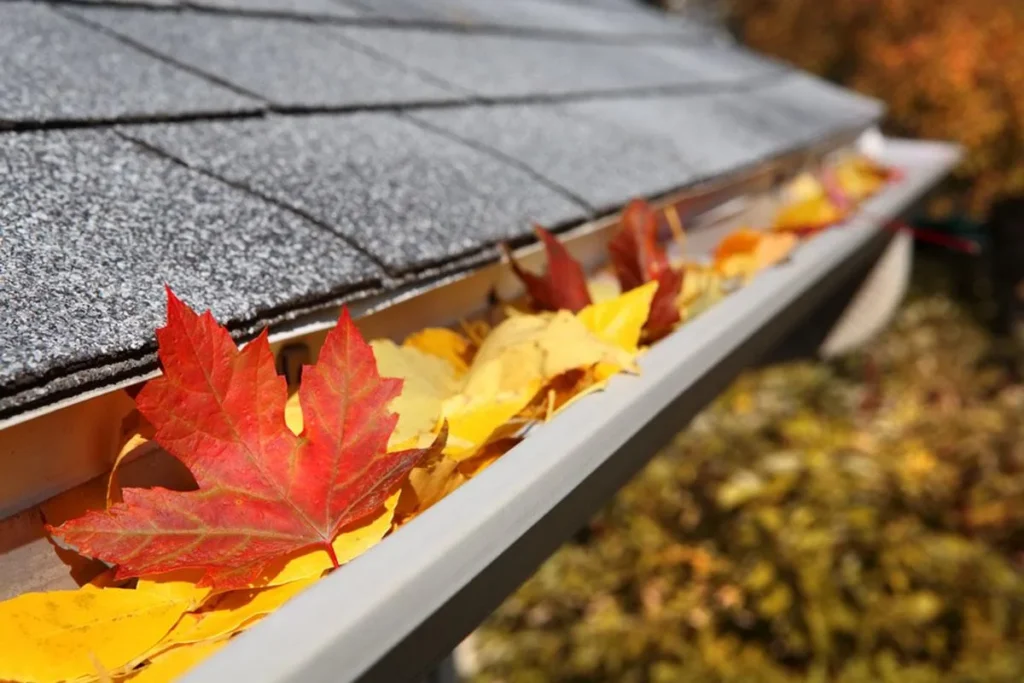 How to keep your gutters clean and working all year round